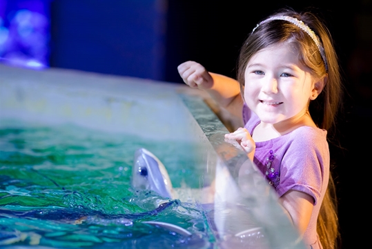 An interactive aquarium for kids at SeaQuest.