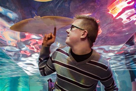 SeaQuest Aquarium Guest In Underwater Tunnel 