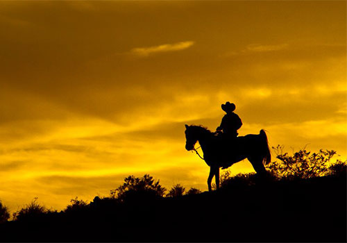 Wild West Horseback Adventures in Las Vegas, Nevada