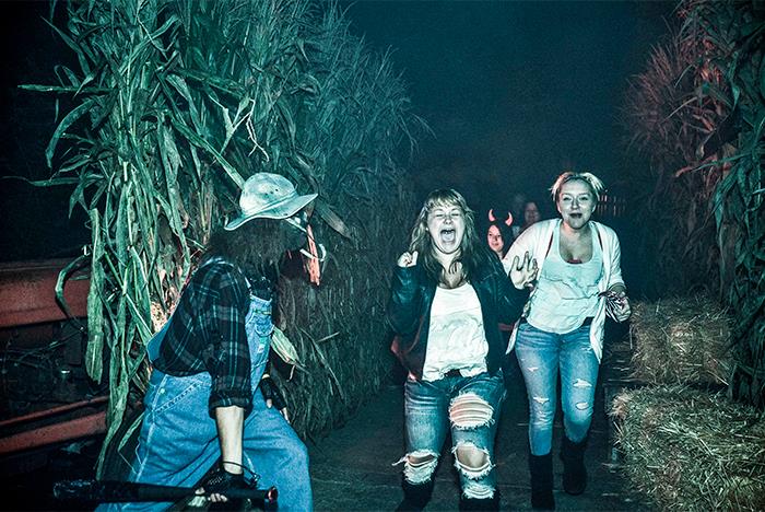 Halloween Haunt at Kings Dominion Doswell, VA Tripster