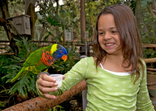 lodging near san diego safari park