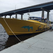 Sea Thunder- Myrtle Beach Dolphin Cruises photo submitted by Wallace Berry