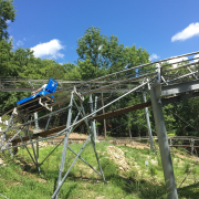 The Runaway Mountain Coaster photo submitted by Julie Arnold