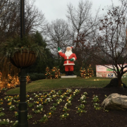 Christmas Town: A Busch Gardens Celebration photo submitted by Amy Farrell
