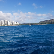 Afternoon Cruise aboard Hawaii Glass Bottom Boat photo submitted by Deondre Sanders