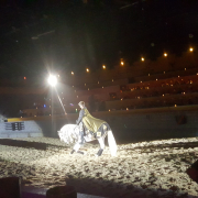 Medieval Times Dinner and Tournament Orlando photo submitted by Jolene Hartley