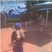 SeaWorld Orlando photo submitted by Ashley Hill