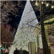 Silver Dollar City photo submitted by Jessica Magaha