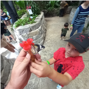 Butterfly Palace & Rainforest Adventure photo submitted by Lonnie Whitton