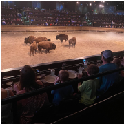 Dolly Parton's Stampede Dinner Attraction photo submitted by Kimberly Willis