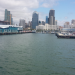 San Diego Harbor Tours by Flagship photo submitted by Nelly Velez