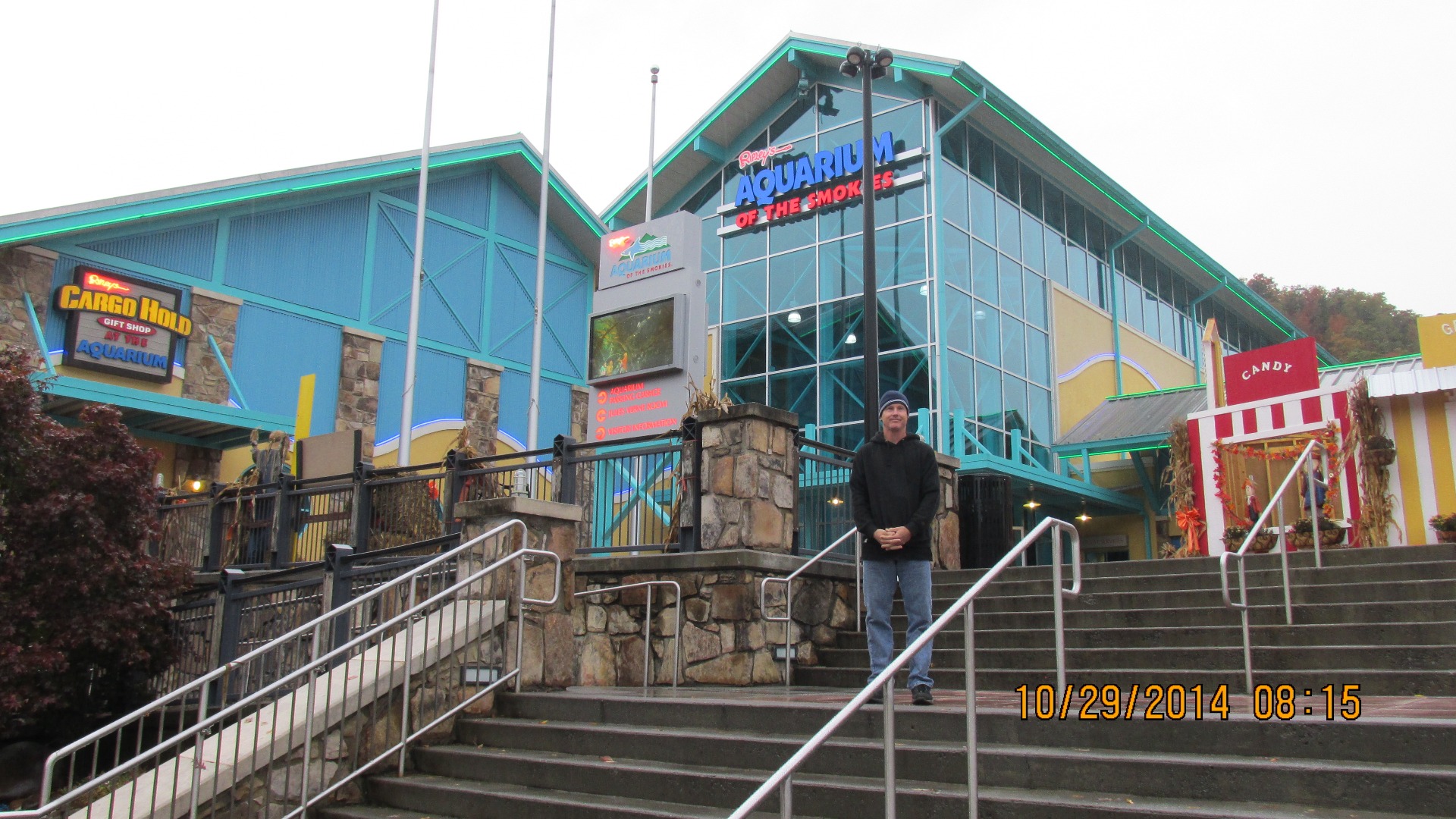 Ripley's Aquarium of the Smokies - IMG 0309