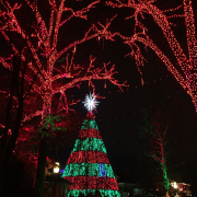 Silver Dollar City photo submitted by Ashley Cardwell