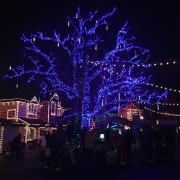 Silver Dollar City photo submitted by Ashley Cardwell
