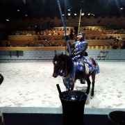 Medieval Times Dinner and Tournament Orlando photo submitted by Herbert  wesley Patrick jr.